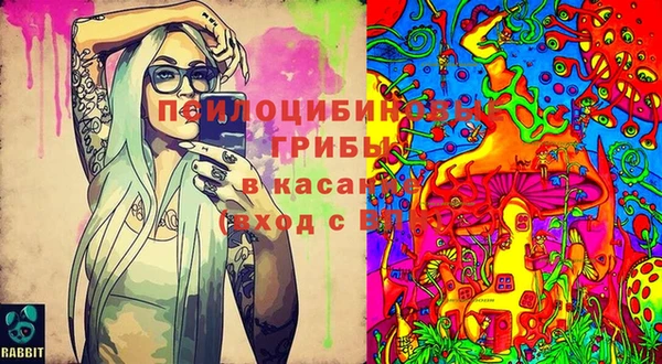 jwh Алзамай
