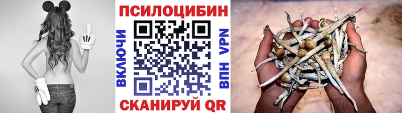 Галлюциногенные грибы Cubensis  как найти   Алупка 